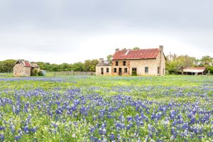 Limestone Texas home among oak trees, illustrating options for tapping home equity in Texas