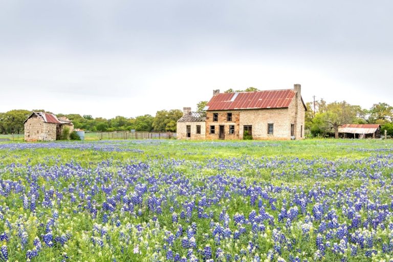 Limestone Texas home among oak trees, illustrating options for tapping home equity in Texas